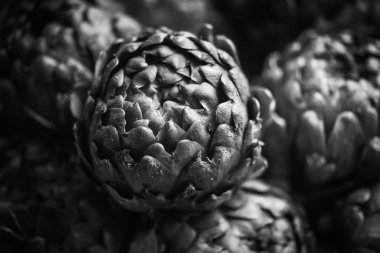 taze enginar yakın görüntüsü