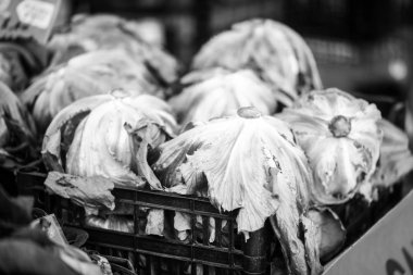 Taze marul. Yakından bak.