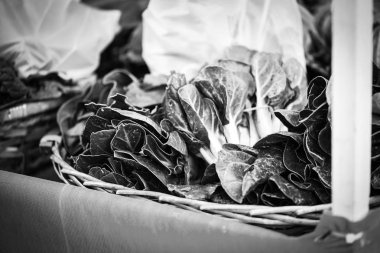 Taze marul. Yakından bak.