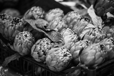 taze enginar yakın görüntüsü