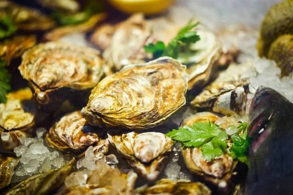 Fresh Oysters Close View — 스톡 사진