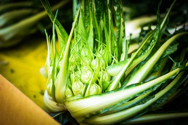 Fresh Lettuce Close View — Stock Photo, Image