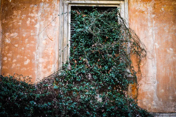 Ancient Doors Close Historical Streets Rome — Stock Photo, Image