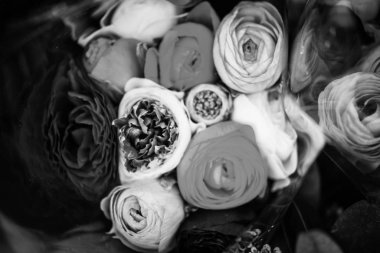 Ranunculus çiçeklerinin görüntüsünü kapat