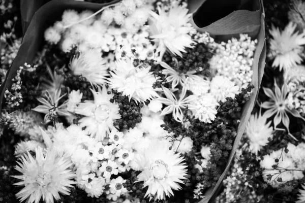 Мікс Літніх Квітів Крупним Планом — стокове фото