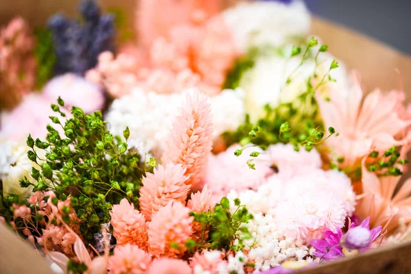 Mix Summer Flowers Close View — Stock Photo, Image