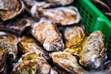 Taze istiridyeler yakın görünüm