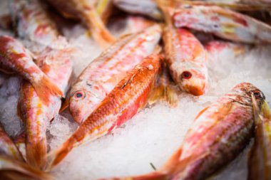 Taze kırmızı balık.