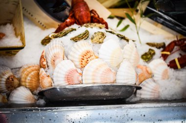 Taze istiridyeler yakın görünüm