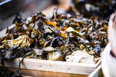 Taze kabuklar yakın görünüm