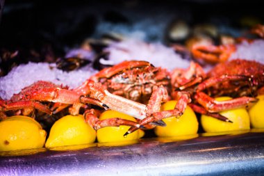 Taze ıstakoz. Yakından bak.