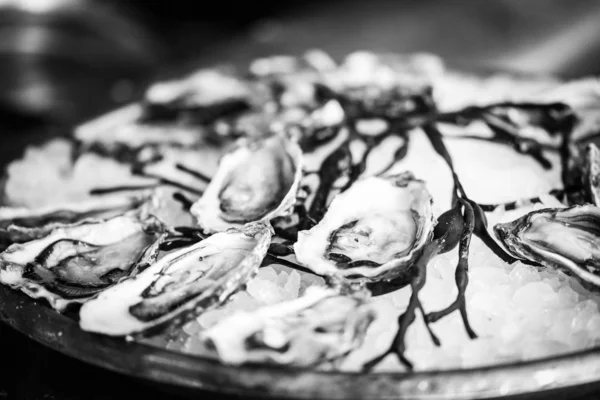 新鮮な牡蠣が間近で見れる — ストック写真