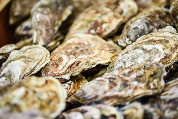 Verse Oesters Van Dichtbij Bekijken — Stockfoto