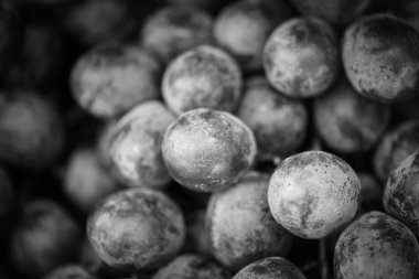 Pembe gül. Taze üzümler. Yakın görüş.