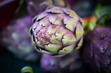 taze enginar yakın görüntüsü