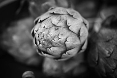 taze enginar yakın görüntüsü