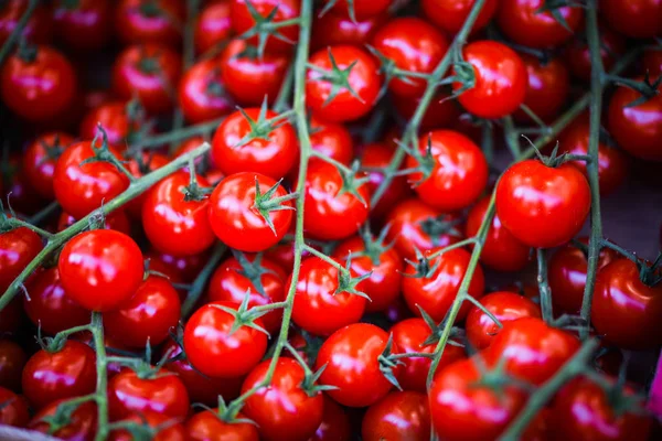 Pomodori Freschi Nel Mercato Parigino — Foto Stock