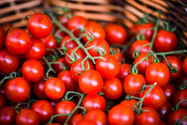 Färska Tomater Den Parisiska Marknaden — Stockfoto