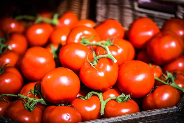 Färska Tomater Den Parisiska Marknaden — Stockfoto