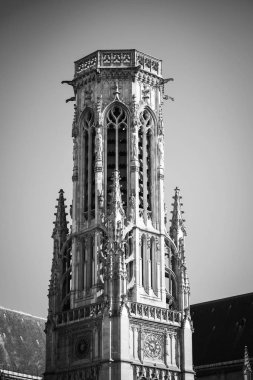 Paris Kilisesi yakın görüş - notre dame de Paris