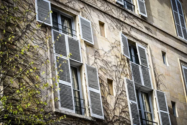 Pariser Straßen Aus Nächster Nähe — Stockfoto