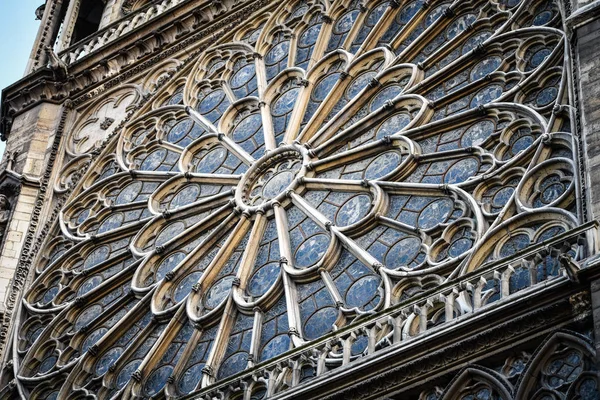 Paris Kilisesi Yakın Görüş Notre Dame Paris — Stok fotoğraf