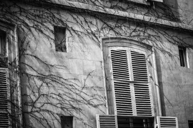 parisian streets close up view