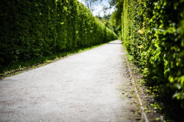 Labirent yolu. Yakın görüş.