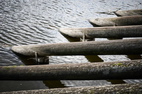 Träpelare Vid Floden Vltava — Stockfoto