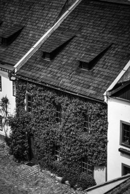 Czech şehrinin yakın görüntüsü Cesky Krumlov