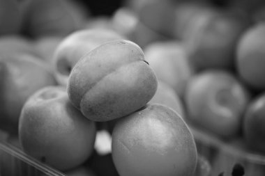 Taze kayısılar manzarayı kapatır