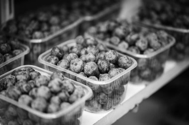 Taze böğürtlen yakın - çilek, yabanmersini, kırmızı böğürtlen, ahududu, kara dut 