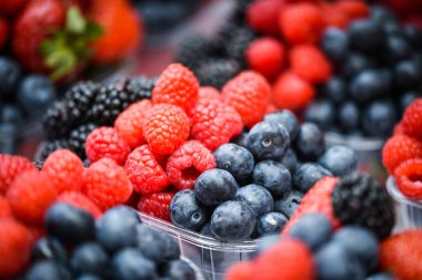 Taze böğürtlen yakın - çilek, yabanmersini, kırmızı böğürtlen, ahududu, kara dut 