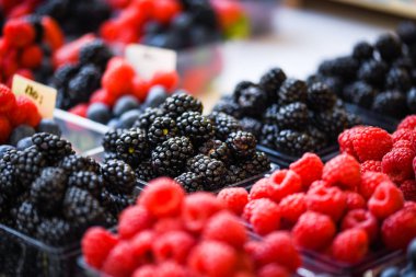 Taze böğürtlen yakın - çilek, yabanmersini, kırmızı böğürtlen, ahududu, kara dut 