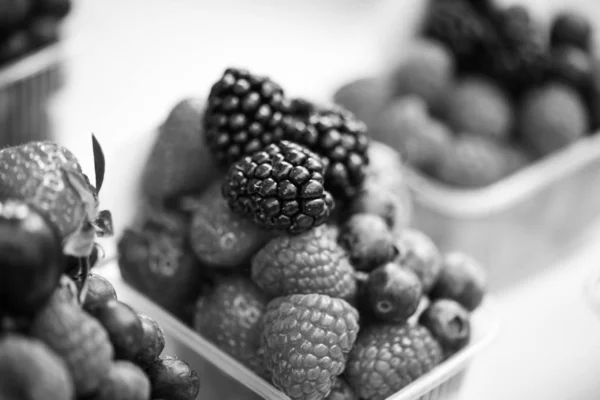 Fructe Padure Proaspete Aproape Capsuni Afine Fructe Padure Rosii Zmeura — Fotografie, imagine de stoc