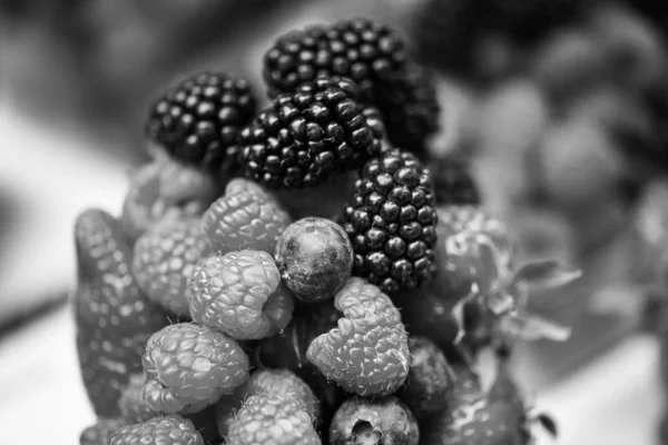 Čerstvé Bobule Zblízka Jahody Borůvky Červené Bobule Maliny Černé Bobule — Stock fotografie