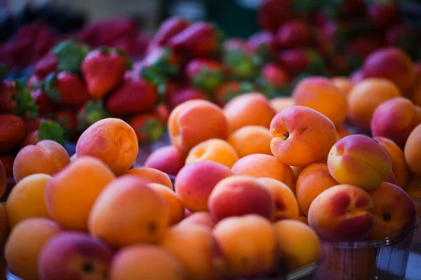Fresh Apricots Close View — Stock Photo, Image