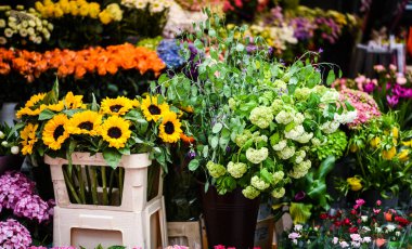 Yaz çiçeklerini karıştır, yakın görünüm