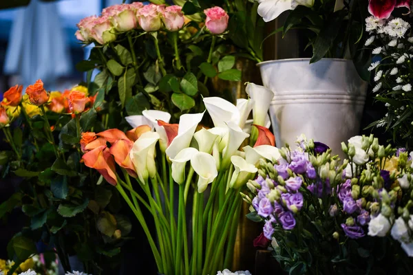 Квітка Кали Лілії Крупним Планом — стокове фото