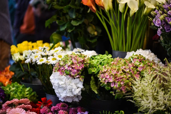 Keverjük Össze Nyári Virágok Közelről — Stock Fotó