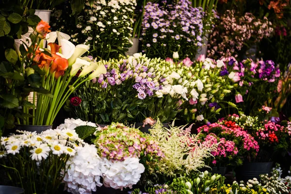 Mix Zomer Bloemen Close Uitzicht — Stockfoto