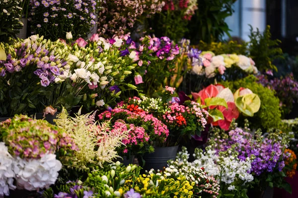 Mélanger Les Fleurs Été Vue Rapprochée — Photo