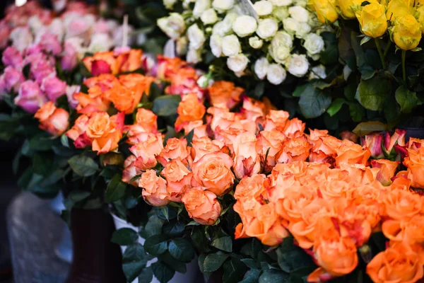 Натуральні Троянди Крупним Планом — стокове фото
