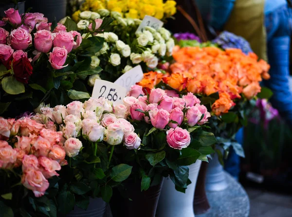 Naturliga Rosor Närbild — Stockfoto