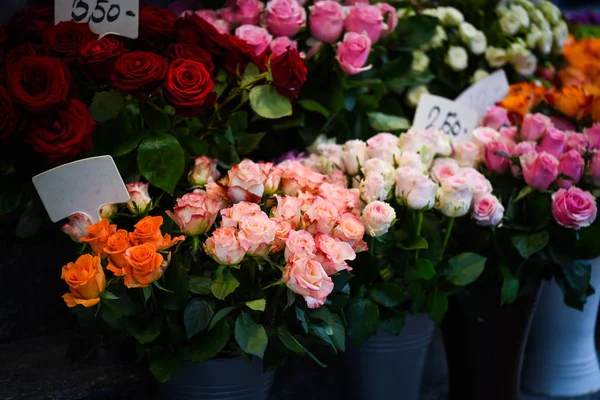 Rosas Naturais Vista Perto — Fotografia de Stock