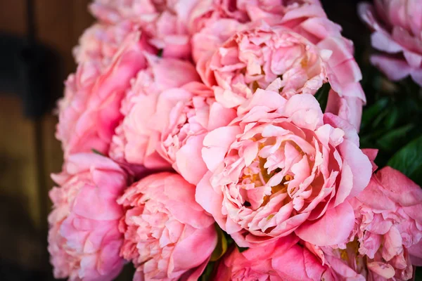 Beautiful Natural Pink Peonies Close — Stock Photo, Image