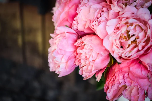 Belas Peônias Rosa Naturais Perto — Fotografia de Stock