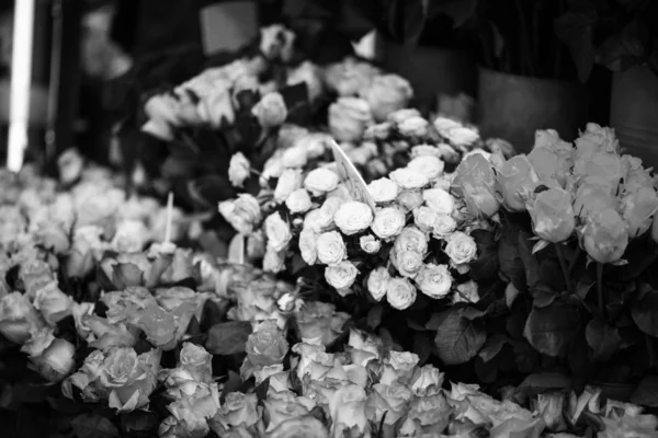 Trandafiri Naturali Aproape Vedere — Fotografie, imagine de stoc