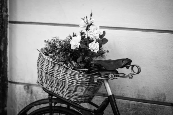 Decorative Bike Close View — Stock Photo, Image