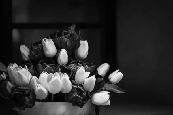Красиві Натуральні Тюльпани Крупним Планом — стокове фото